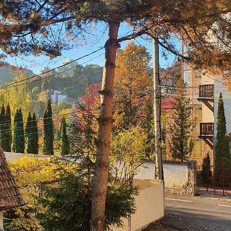 Central Luxury Apartment With City View Braşov Dış mekan fotoğraf