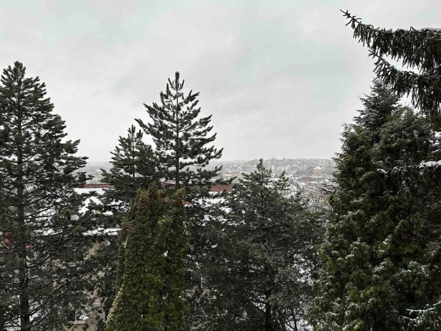 Central Luxury Apartment With City View Braşov Dış mekan fotoğraf