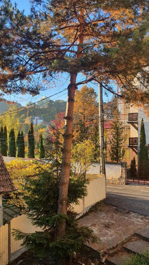 Central Luxury Apartment With City View Braşov Dış mekan fotoğraf