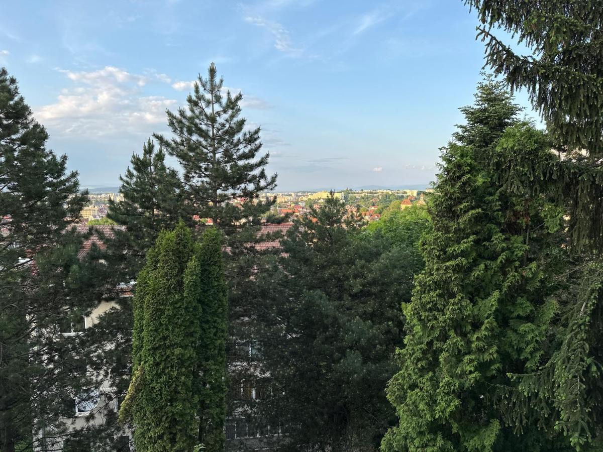 Central Luxury Apartment With City View Braşov Dış mekan fotoğraf